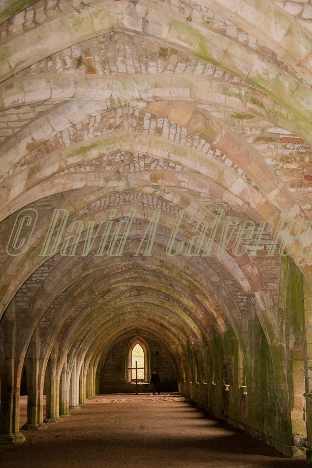 Fountain's_Abbey-156.jpg