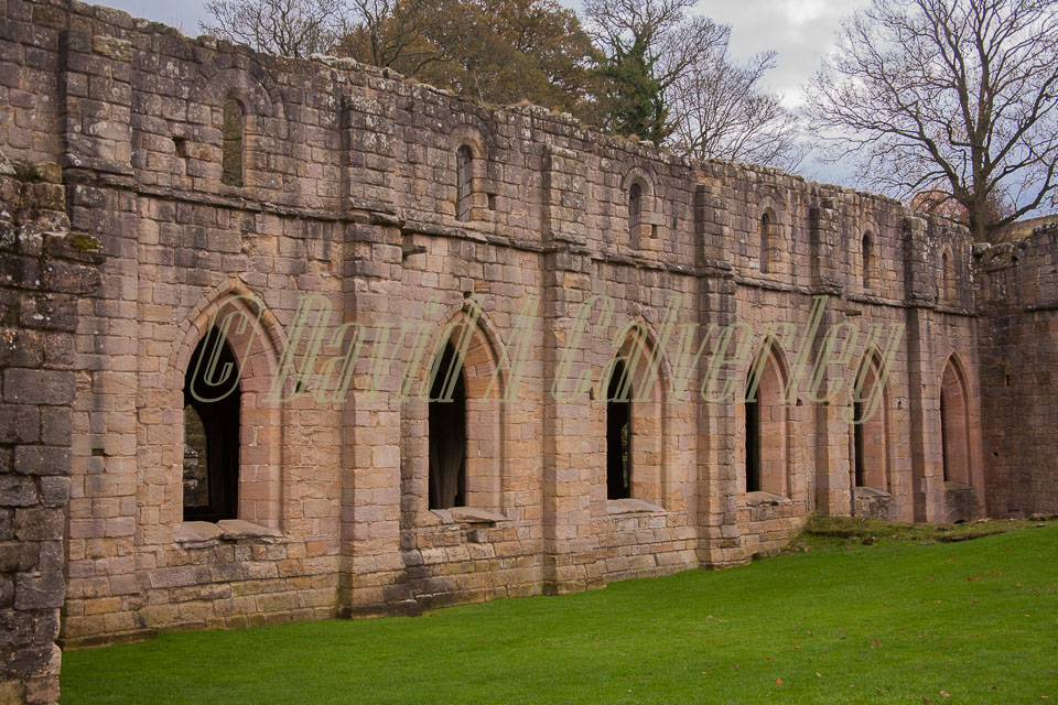 Fountain's_Abbey-157.jpg