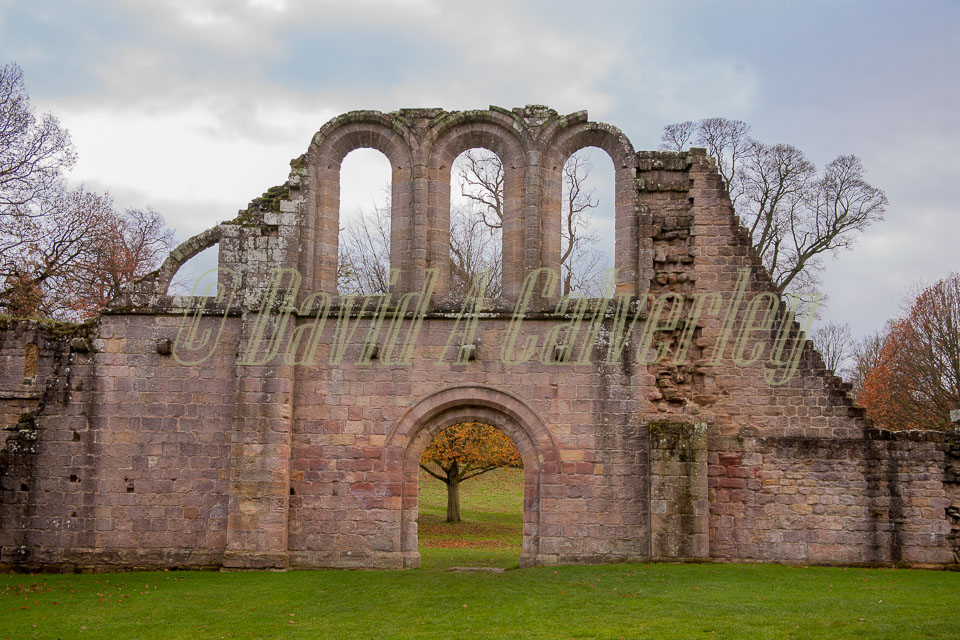 Fountain's_Abbey-158.jpg