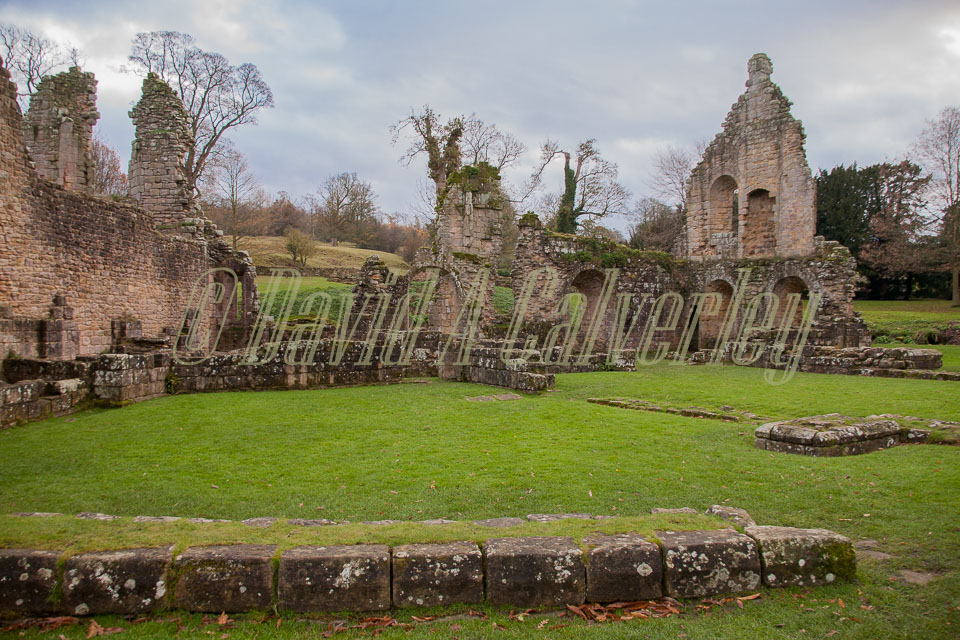 Fountain's_Abbey-159.jpg
