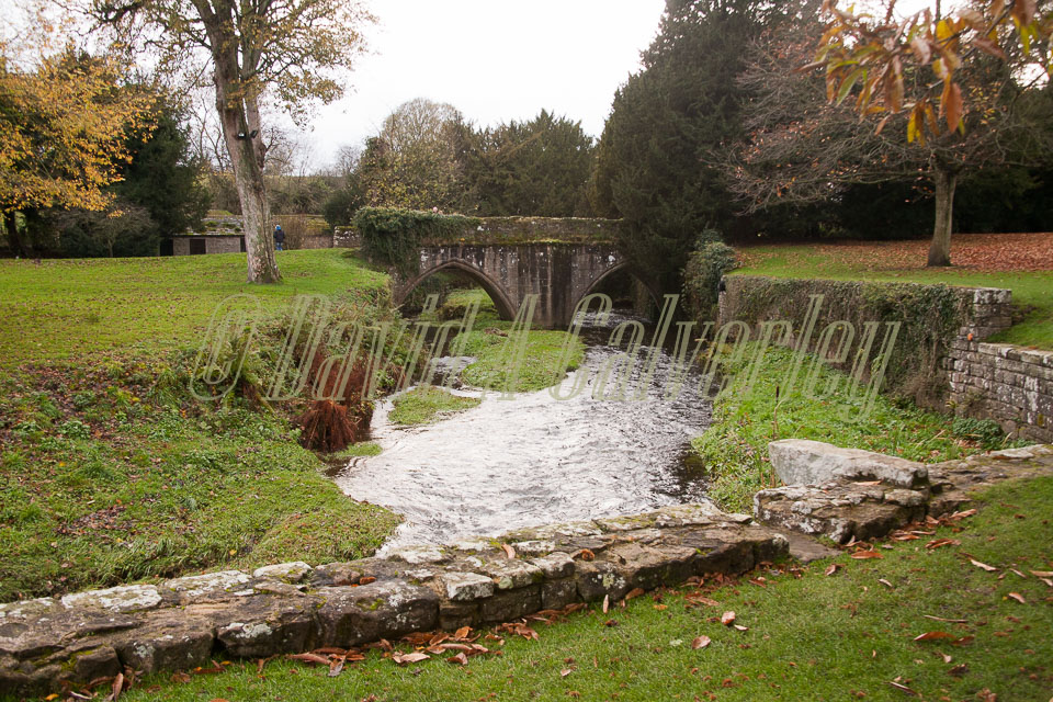 Fountain's_Abbey-165.jpg