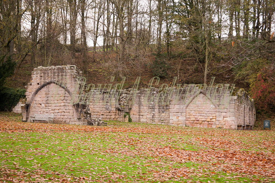 Fountain's_Abbey-166.jpg