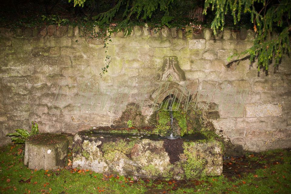 Fountain's_Abbey-225.jpg