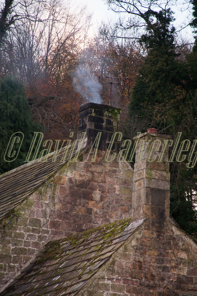 Fountain's_Abbey-226.jpg