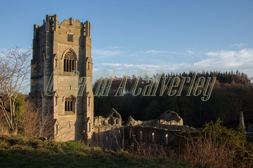 Fountains_Abbey-251.jpg