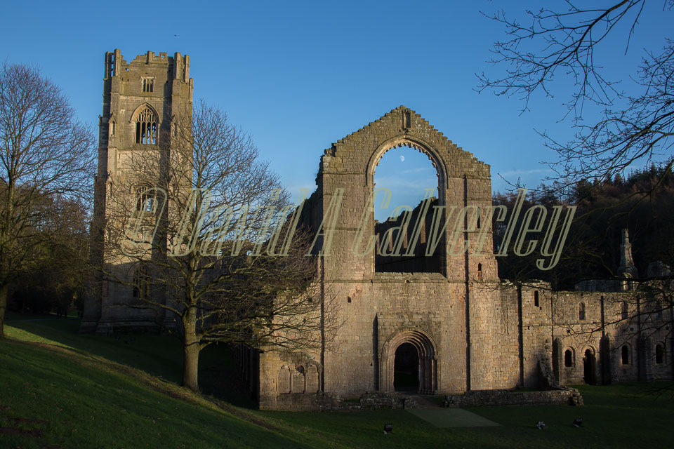 Fountains_Abbey-253.jpg