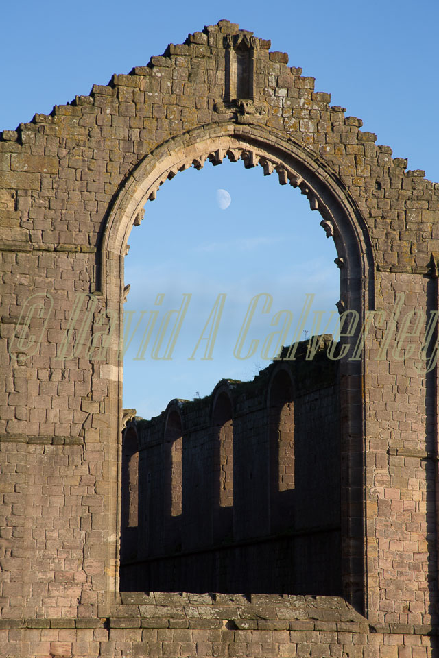 Fountains_Abbey-255.jpg