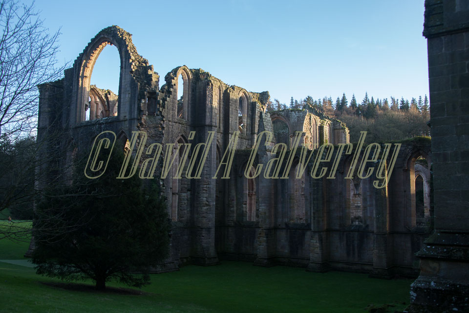 Fountains_Abbey-261.jpg