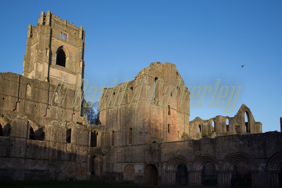 Fountains_Abbey-263.jpg