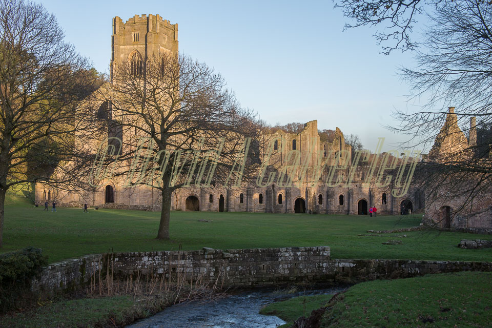Fountains_Abbey-273.jpg