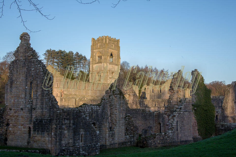 Fountains_Abbey-275.jpg