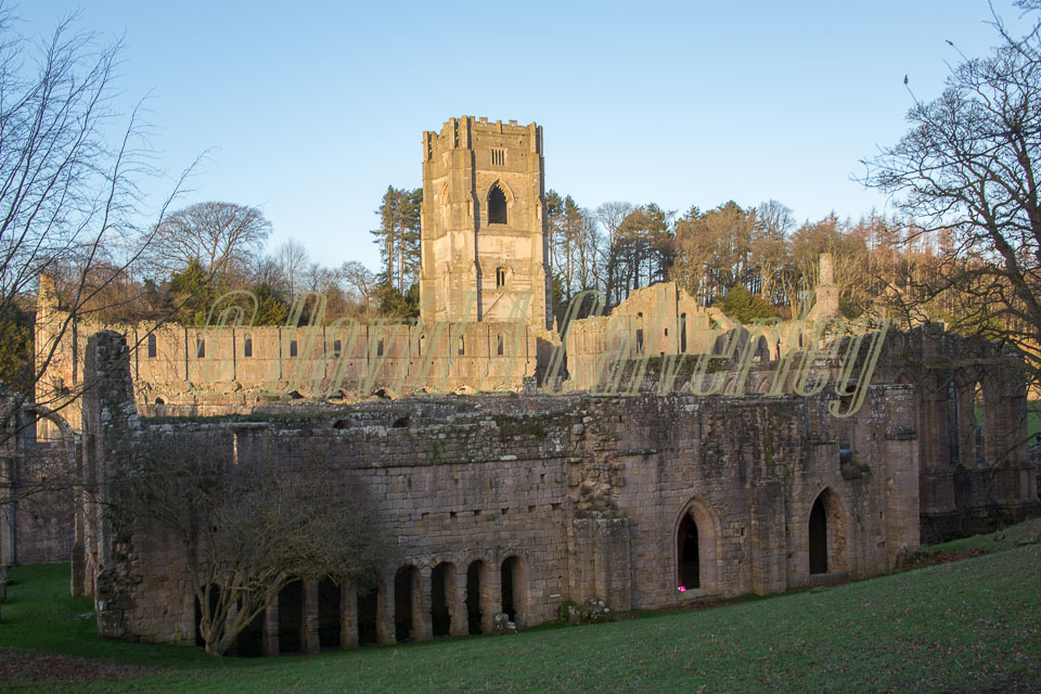 Fountains_Abbey-276.jpg