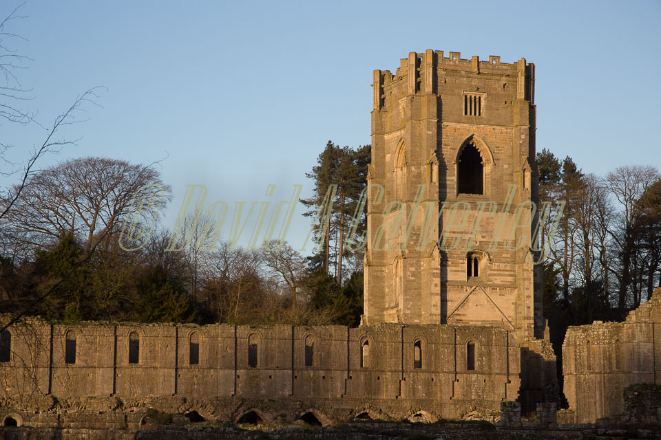 Fountains_Abbey-277.jpg
