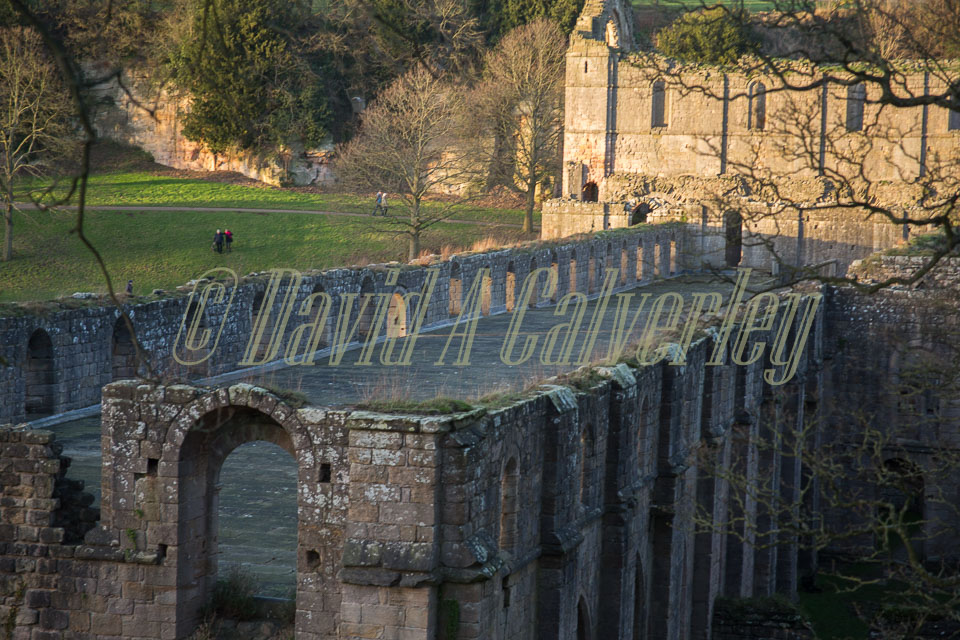 Fountains_Abbey-278.jpg