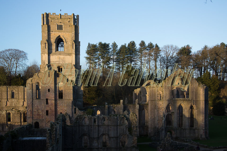 Fountains_Abbey-279.jpg