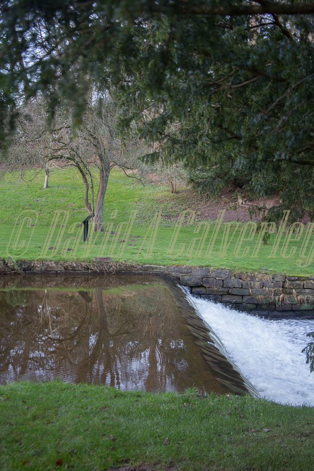 Fountains_Abbey-287.jpg
