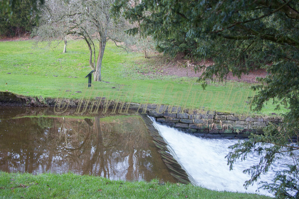 Fountains_Abbey-288.jpg