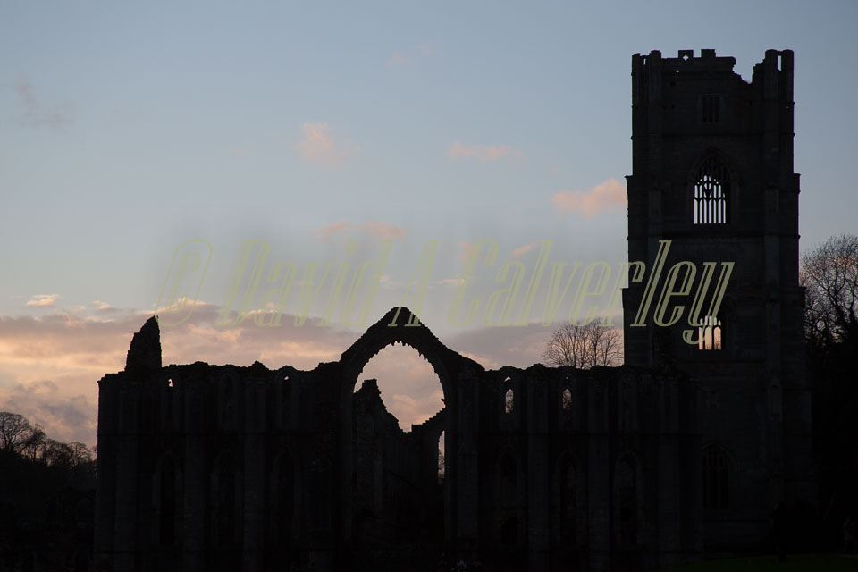 Fountains_Abbey-292.jpg