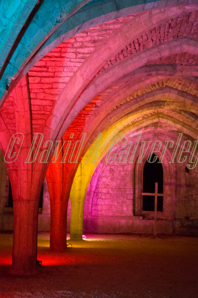 Fountains_Abbey-299.jpg