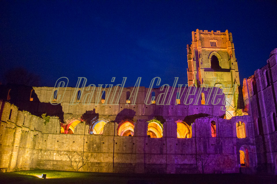 Fountains_Abbey-306.jpg