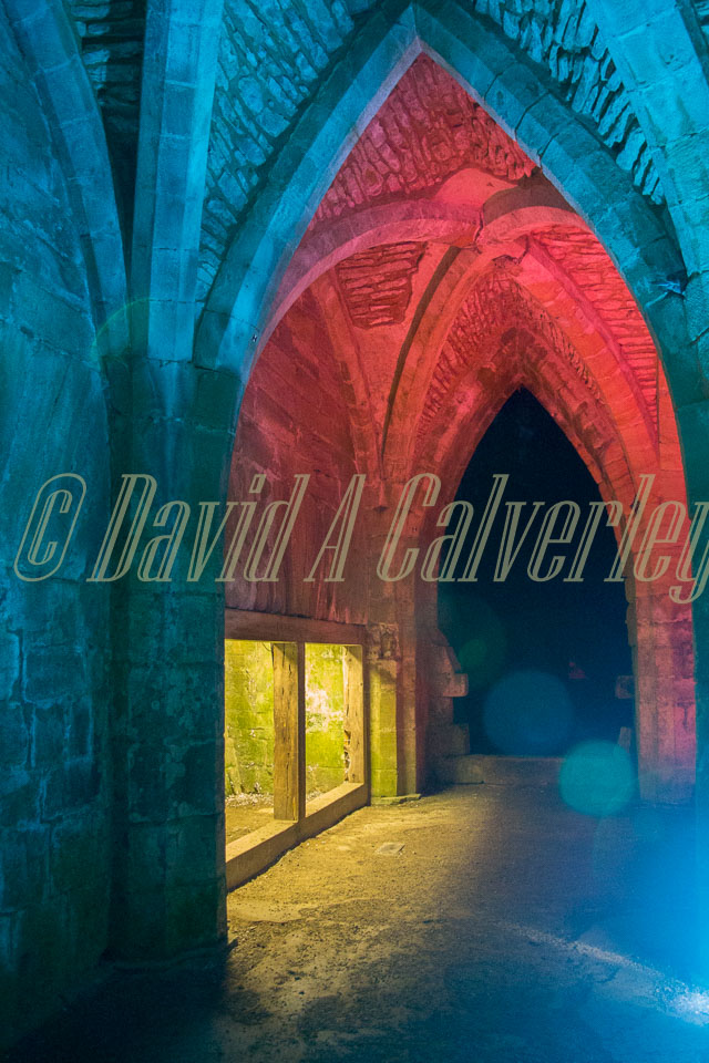 Fountains_Abbey-307.jpg