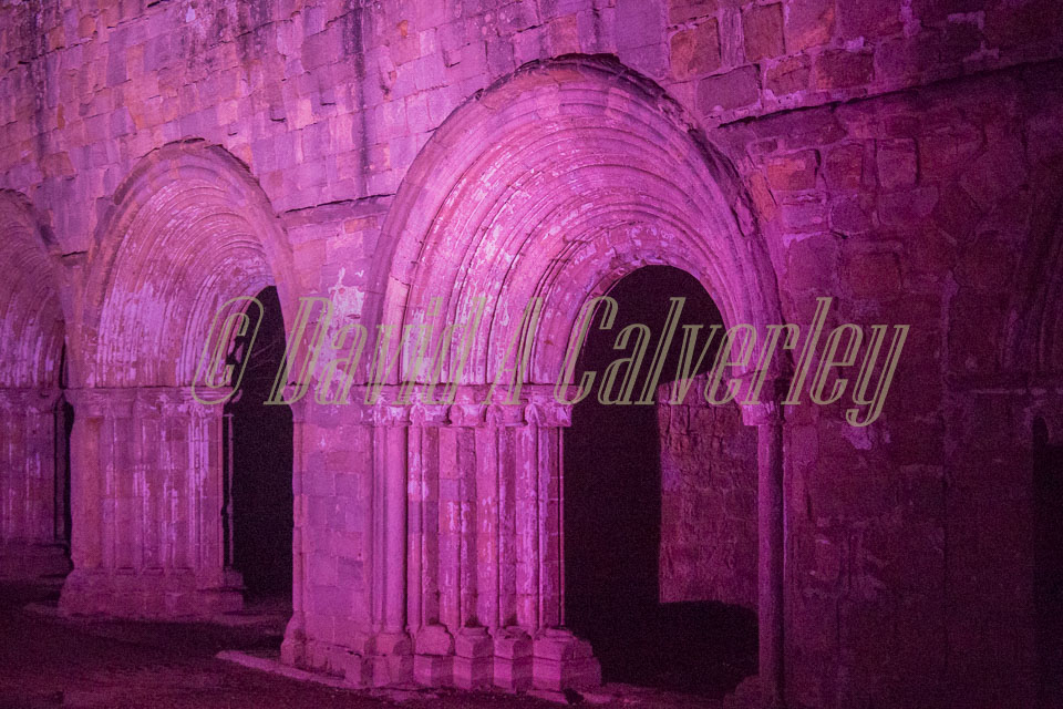 Fountains_Abbey-308.jpg