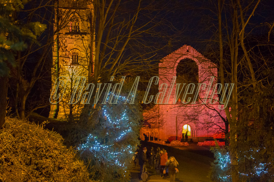 Fountains_Abbey-336.jpg
