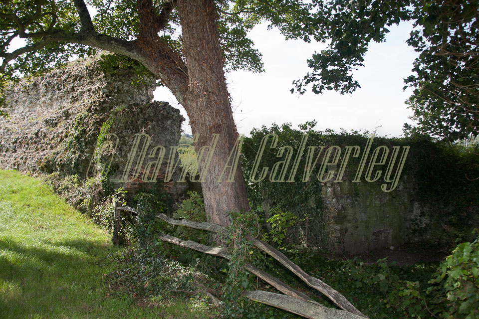 Pevensey_Castle_-078.jpg