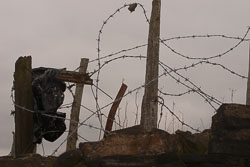 Barbed_Wire-001.jpg