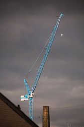 Crane_-001.jpg