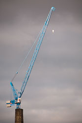 Crane_-002.jpg