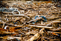 Flotsam_and_Jetsam-003.jpg