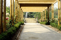 Pathway-001.jpg
