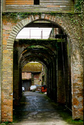 Underneath_The_Arches-001.jpg