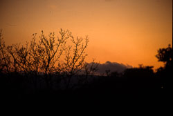 Sunset-020.jpg