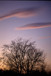 Sunset-021.jpg