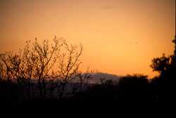 Sunset-022.jpg