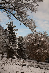 Snow,_Beaumont_Park_-101.jpg