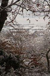Snow,_Beaumont_Park_-104.jpg
