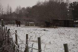 Snow,_Crosland_Hill_-002.jpg