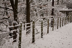 Snow,_Delves_Wood_-018.jpg