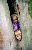 Family,_Sherwood_Forest_002.jpg