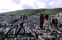 2000_Kettlewell-017.jpg
