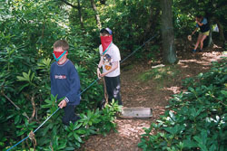 2002_Group_Camp_Bradley_Wood-059.jpg