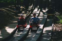 2002_Group_Camp_Bradley_Wood-078.jpg
