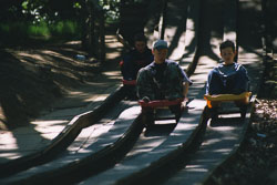 2002_Group_Camp_Bradley_Wood-081.jpg