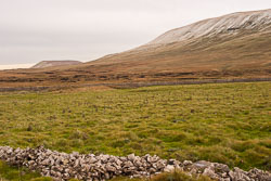 2002_Kettlewell-001.jpg