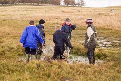 2002_Kettlewell-024.jpg