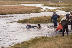 2002_Kettlewell-032.jpg