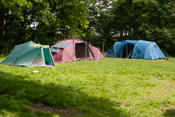 2003_Cub_Camp_Bradley_Wood-011.jpg
